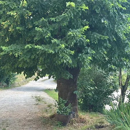 Mas Teranga Dans Les Cevennes Saint-Privat-des-Vieux